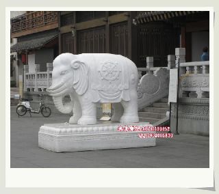 石雕大象   汉白玉石雕大象  鸿景雕塑厂家