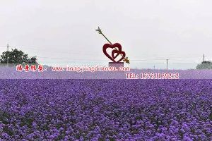 һĲֵܣ԰ֵܣӰ¥ֵ